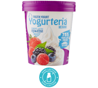 FROZEN YOGURTERIA FOREST FRUITS LACTOSE FREE 500ml