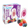 5 Bâtonnets YOGURTERIA Fruits des Bois Sans Lactose