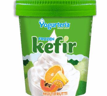 FROZEN YOGURTERIA FRUIT KEFIR LACTOSE FREE 500ml