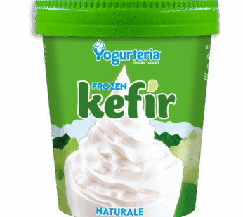 YOGURTERIA Kéfir glacé Sans Lactose 500 ML